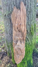 Wood Spirit 3 £150.00