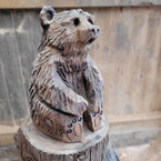 Sitting Bear 23 inches £200.00 