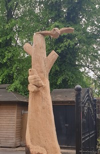 Robert Wilson - Tree Surgeon, Gardener and Chainsaw Carver